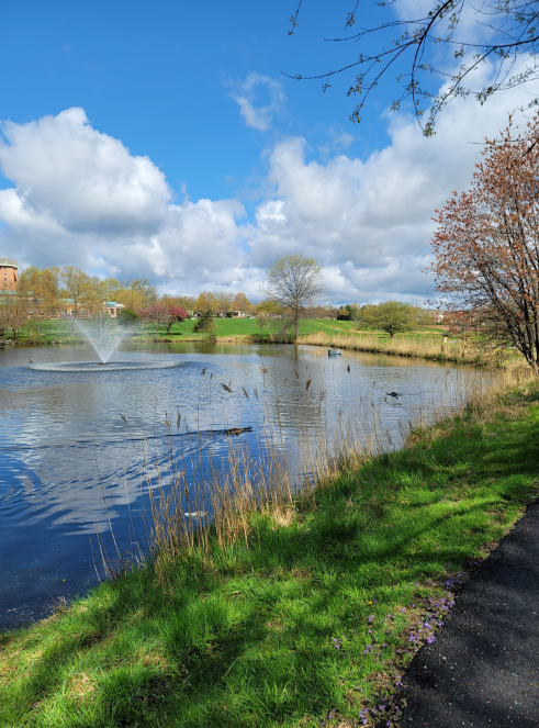 original pond